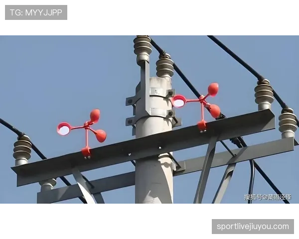 技术犯规的判定标准和常见触发场景解析